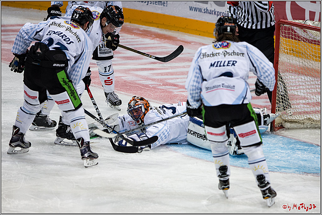 Koelner Haie - Straubing Tigers, 03.10.2016